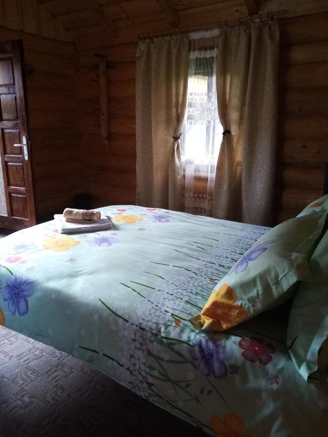 Casa Prundari Nicu Si Mirela Hotell Poiana Teiului Eksteriør bilde