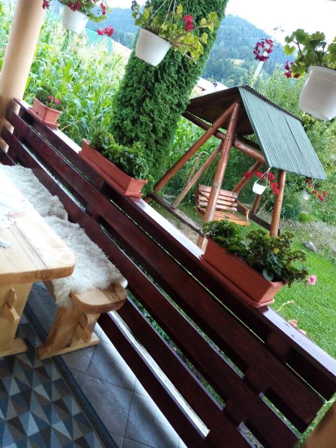 Casa Prundari Nicu Si Mirela Hotell Poiana Teiului Eksteriør bilde