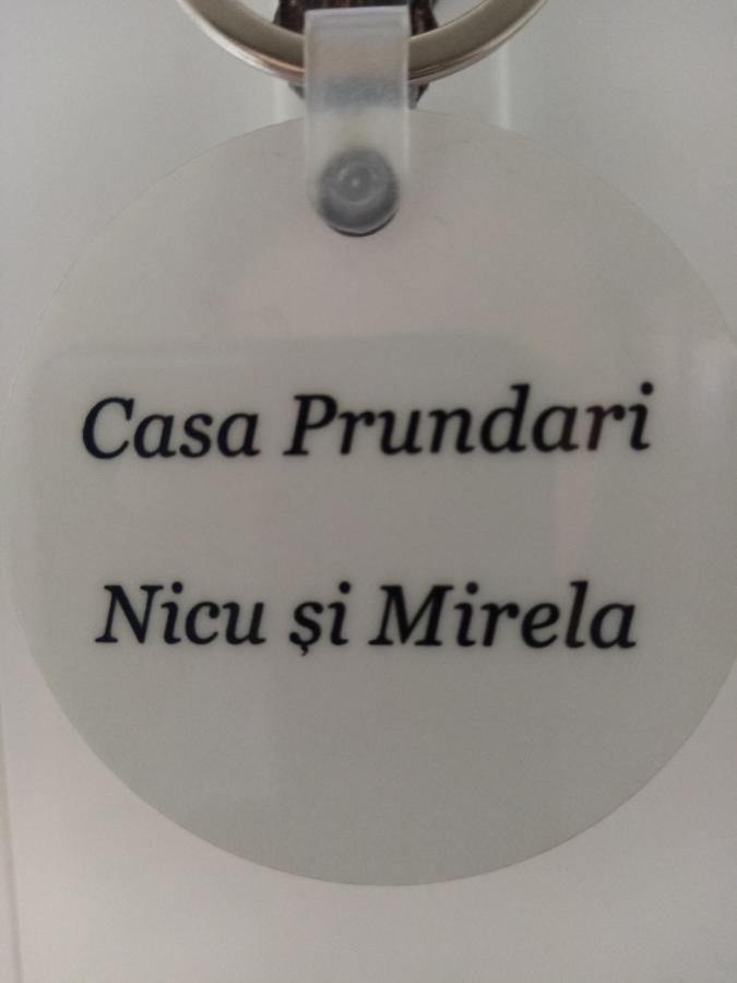 Casa Prundari Nicu Si Mirela Hotell Poiana Teiului Eksteriør bilde