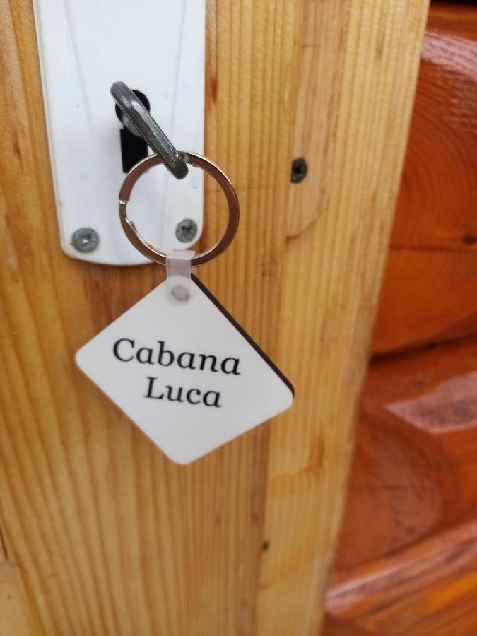 Casa Prundari Nicu Si Mirela Hotell Poiana Teiului Eksteriør bilde