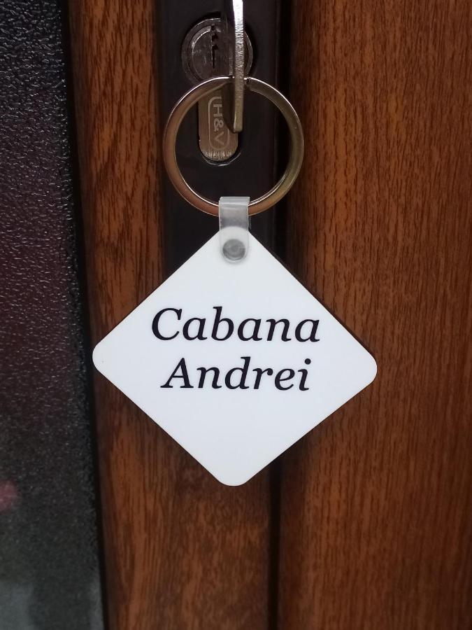 Casa Prundari Nicu Si Mirela Hotell Poiana Teiului Eksteriør bilde