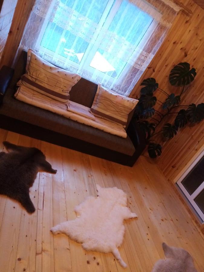 Casa Prundari Nicu Si Mirela Hotell Poiana Teiului Rom bilde