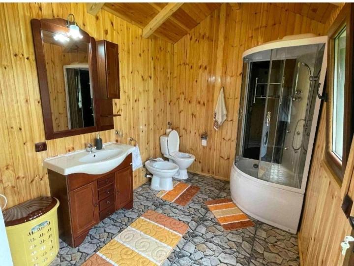 Casa Prundari Nicu Si Mirela Hotell Poiana Teiului Rom bilde